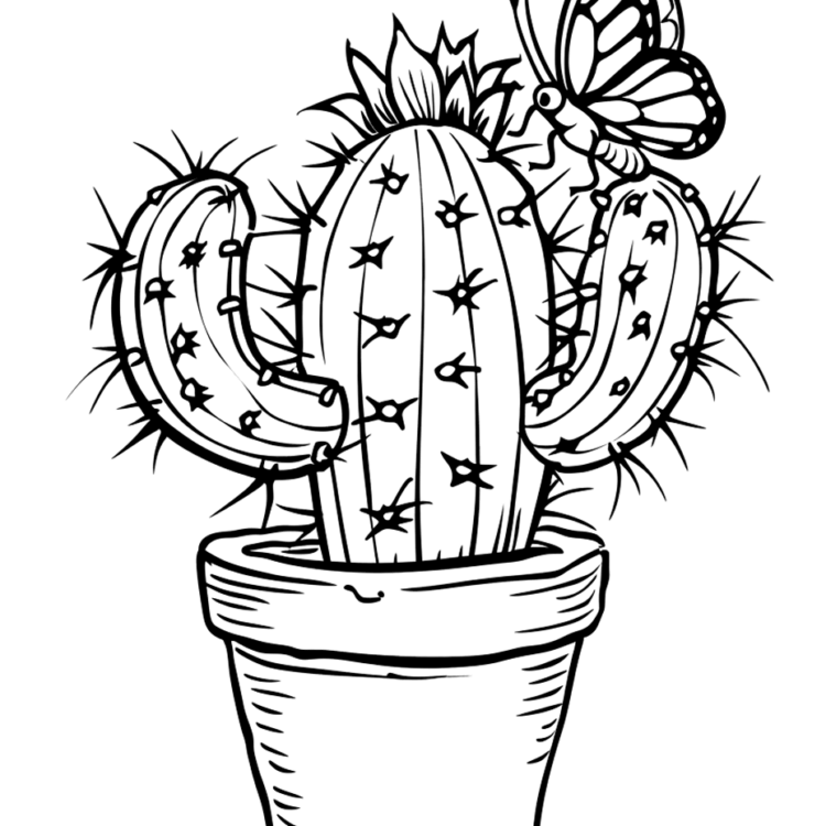 Dibujo para colorear cactus y mariposa