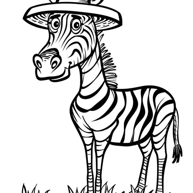 Dibujo para colorear cebra y sombrero
