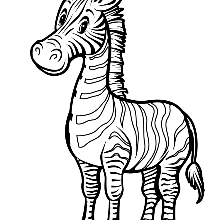 Ausmalbild junges Zebra