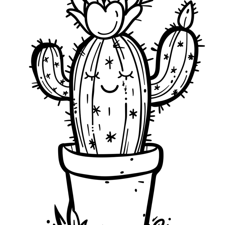 Mandala cactus
